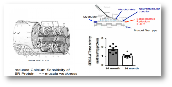 2b2fd2dbfcaf48468100fb75737bdc4c.png 2b2fd2dbfcaf48468100fb75737bdc4c.png